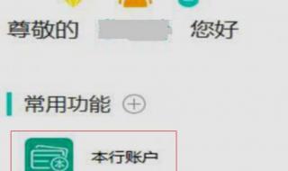 怎样查询社保卡里惠农补贴的余额